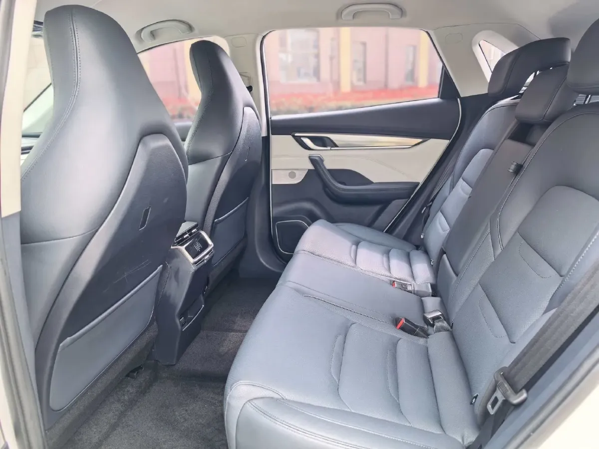 2021 Weltmeister EX5 BEV 52.704KWH,autocango,china used car exporter,china ev exporter,chinese used car exporter,chinese used ev exporter