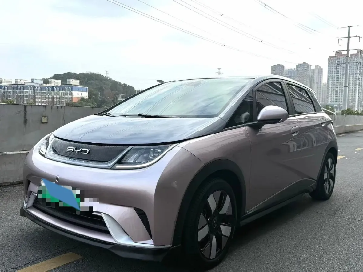 2023 BYD Dolphin BEV 44.928KWH,autocango,china used car exporter,china ev exporter,chinese used car exporter,chinese used ev exporter