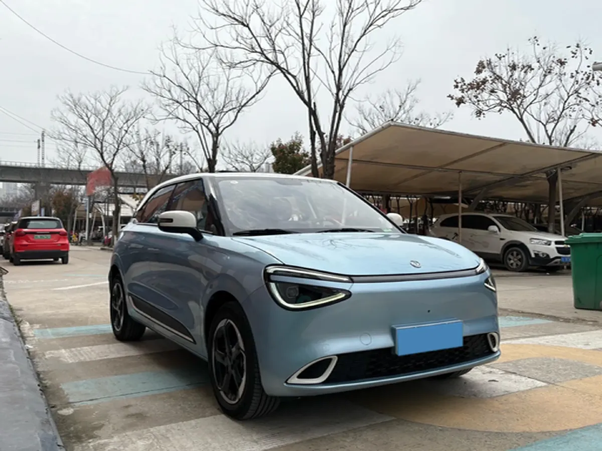 2024 DongFeng Nammi 01 BEV 42.3KWH,autocango,china used car exporter,china ev exporter,chinese used car exporter,chinese used ev exporter