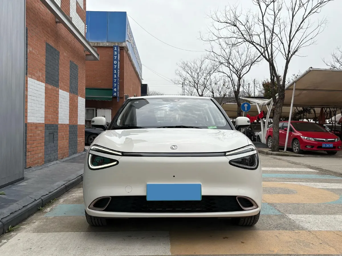 2024 DongFeng Nammi 01 BEV 42.3KWH,autocango,china used car exporter,china ev exporter,chinese used car exporter,chinese used ev exporter