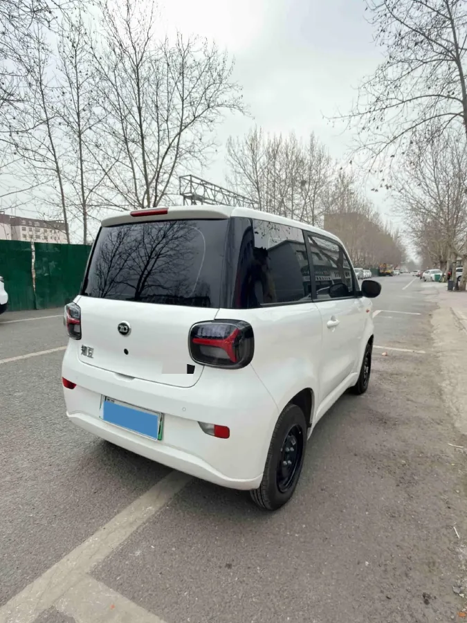 2024 ZD Rainbow BEV 17.3KWH,autocango,china used car exporter,china ev exporter,chinese used car exporter,chinese used ev exporter