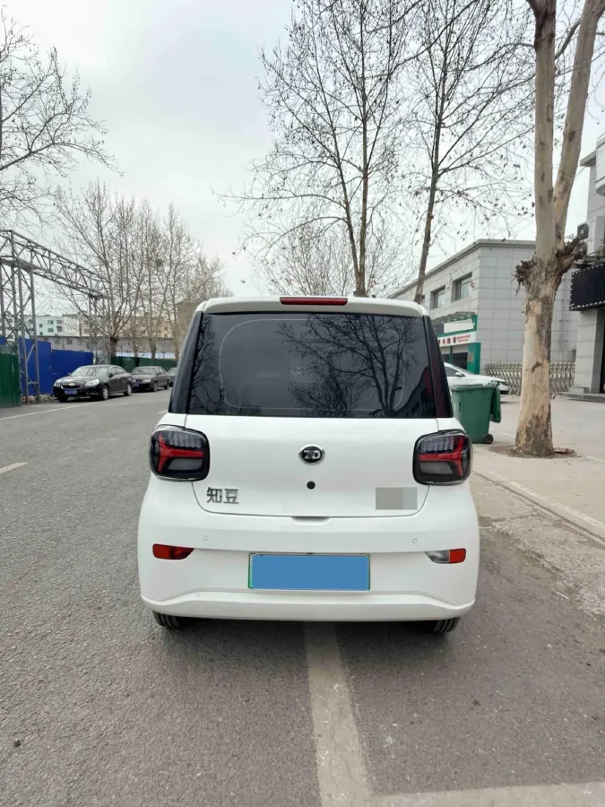 2024 ZD Rainbow BEV 17.3KWH,autocango,china used car exporter,china ev exporter,chinese used car exporter,chinese used ev exporter