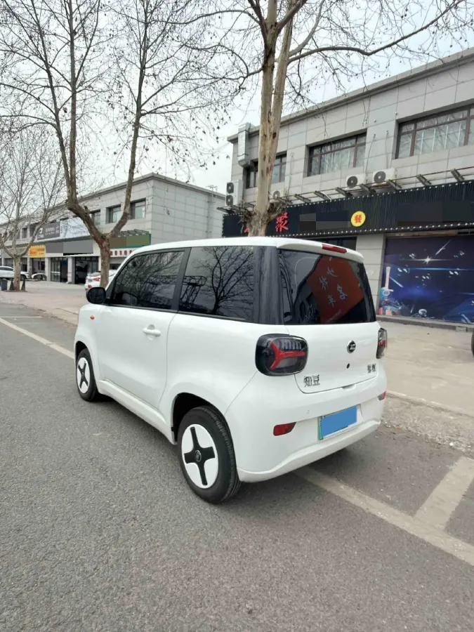 2024 ZD Rainbow BEV 17.3KWH,autocango,china used car exporter,china ev exporter,chinese used car exporter,chinese used ev exporter
