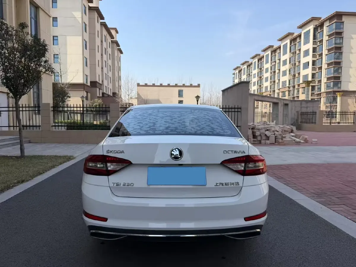 2019 Skoda Octavia 1.2T 116HP L4 7DCT,autocango,china used car exporter,china ev exporter,chinese used car exporter,chinese used ev exporter