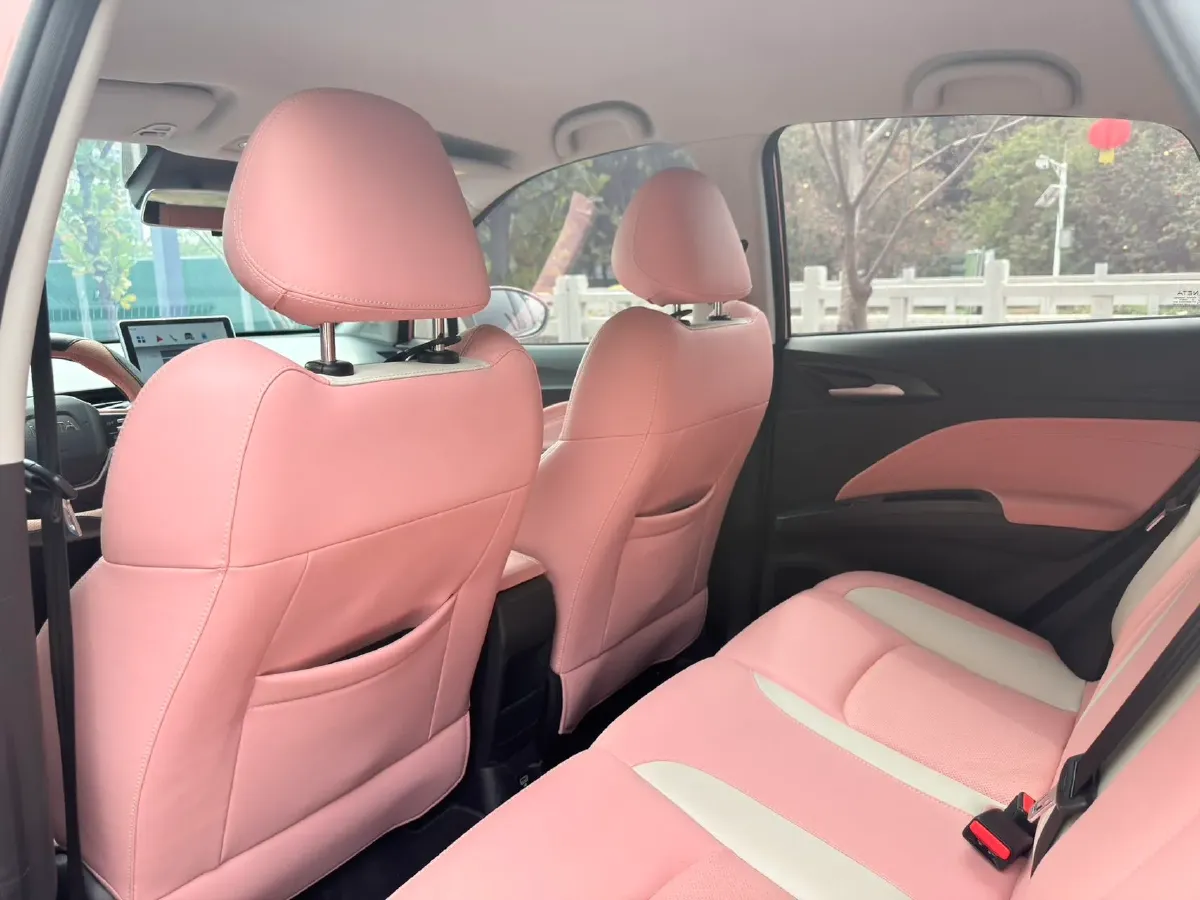 2021 Neta V BEV 31.18KWH,autocango,china used car exporter,china ev exporter,chinese used car exporter,chinese used ev exporter