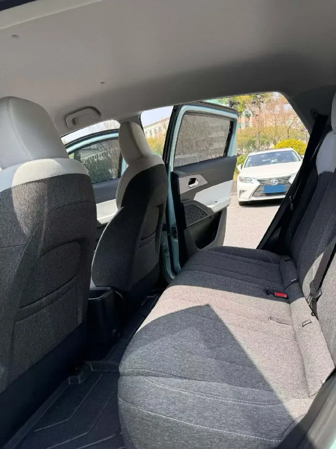 2024 Geometry E BEV 29.67KWH,autocango,china used car exporter,china ev exporter,chinese used car exporter,chinese used ev exporter