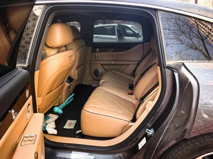 2025 HIMA Stelato S9 REEV 160HP REEV,autocango,china used car exporter,china ev exporter,chinese used car exporter,chinese used ev exporter