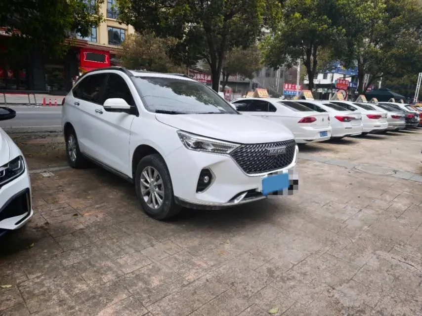 2022 Chery Little Ant BEV 40.6KWH,autocango,china used car exporter,china ev exporter,chinese used car exporter,chinese used ev exporter