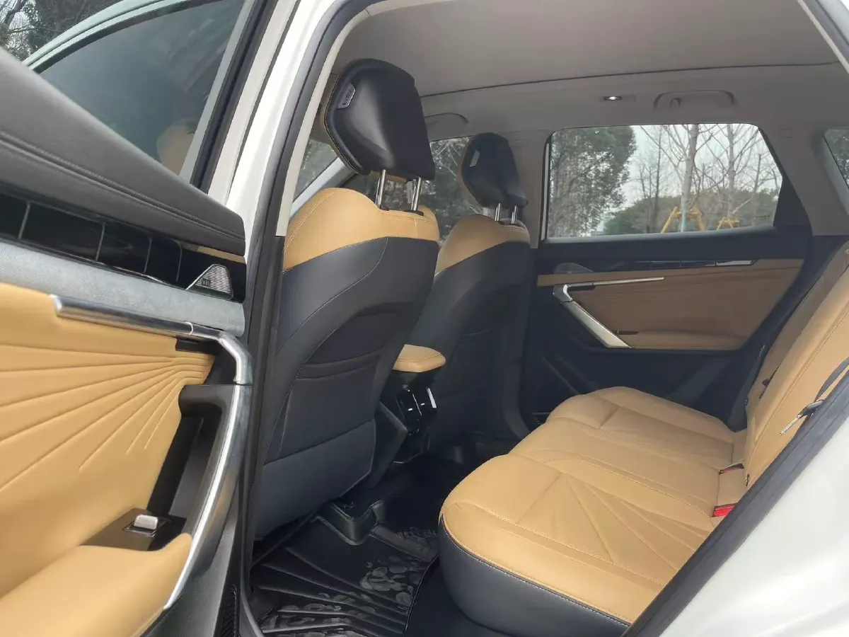 2023 Geely StarRay 2.0T 218HP L4 7DCT,autocango,china used car exporter,china ev exporter,chinese used car exporter,chinese used ev exporter