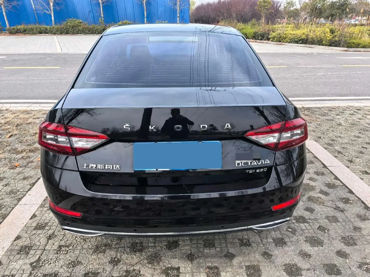 2019 Skoda Octavia 1.2T 116HP L4 7DCT,autocango,china used car exporter,china ev exporter,chinese used car exporter,chinese used ev exporter