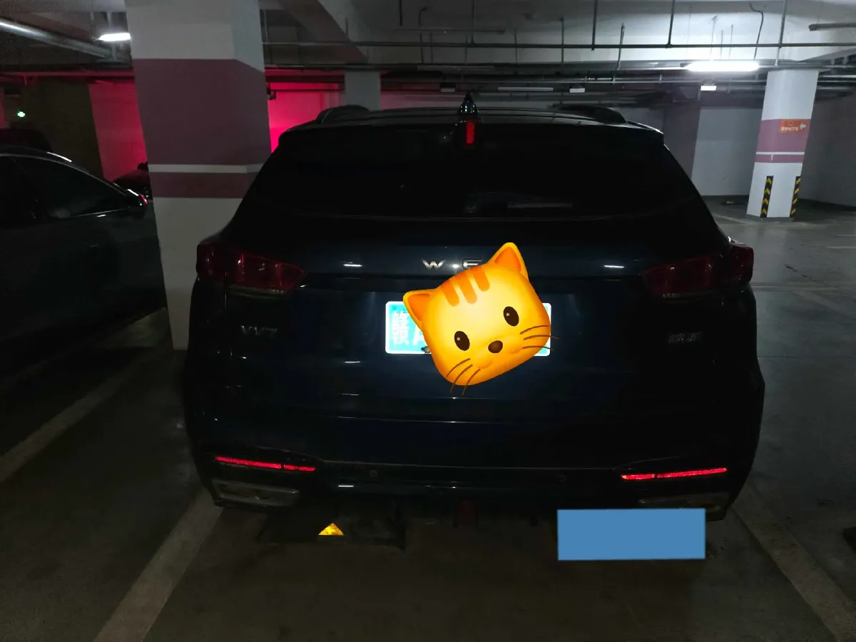 2020 WEY VV7 2.0T 227HP L4 7DCT,autocango,china used car exporter,china ev exporter,chinese used car exporter,chinese used ev exporter