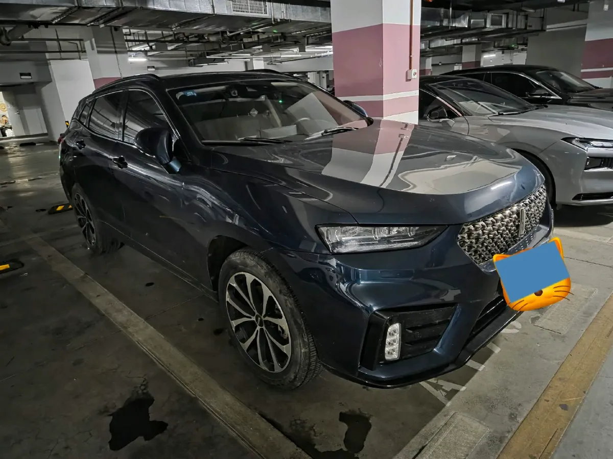 2020 WEY VV7 2.0T 227HP L4 7DCT,autocango,china used car exporter,china ev exporter,chinese used car exporter,chinese used ev exporter