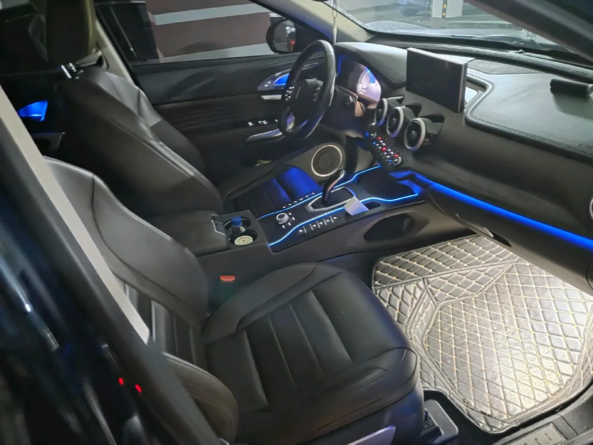 2020 WEY VV7 2.0T 227HP L4 7DCT,autocango,china used car exporter,china ev exporter,chinese used car exporter,chinese used ev exporter