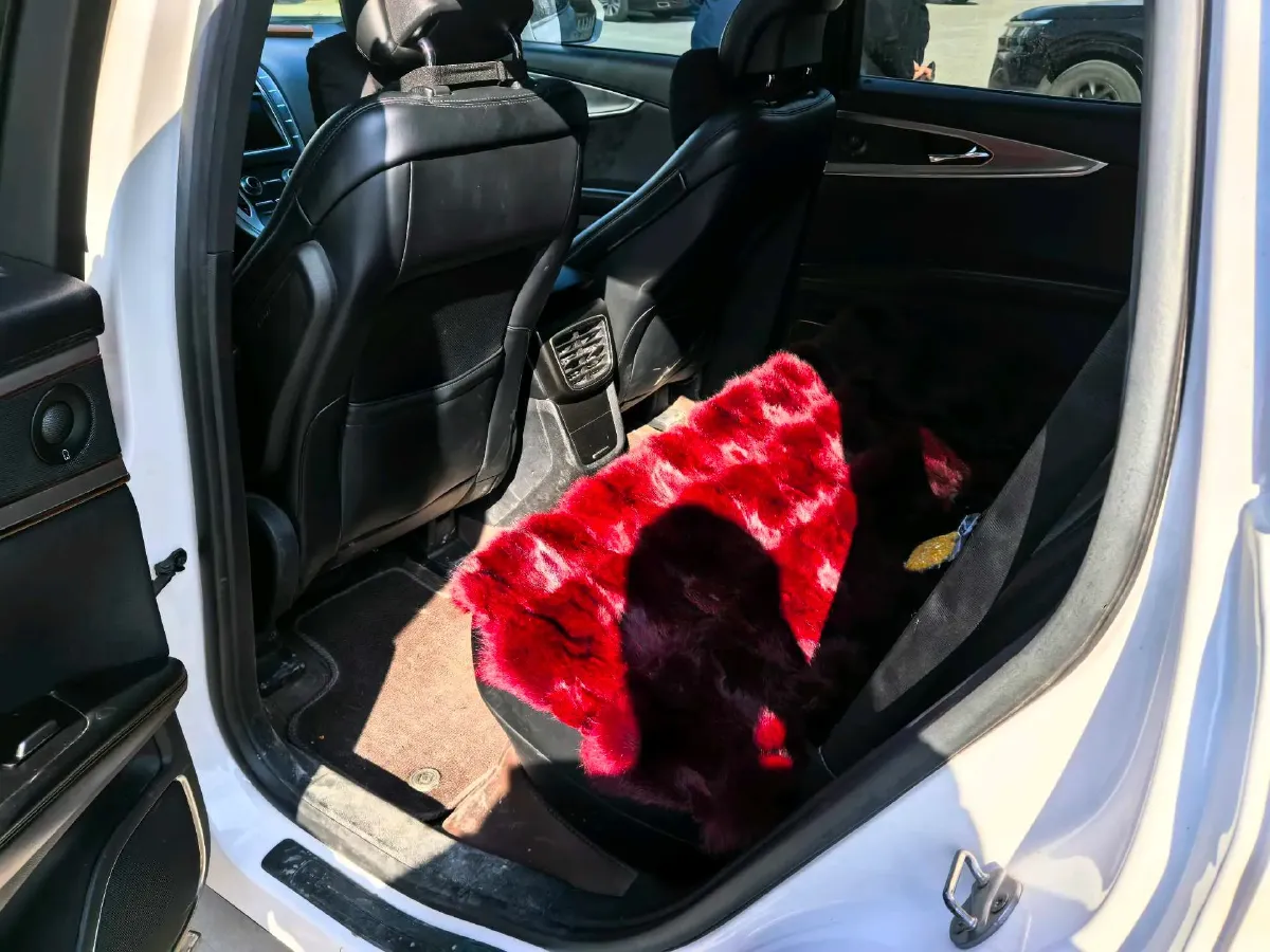 2018 Lincoln MKX 2.0T 253HP L4 6AT,autocango,china used car exporter,china ev exporter,chinese used car exporter,chinese used ev exporter