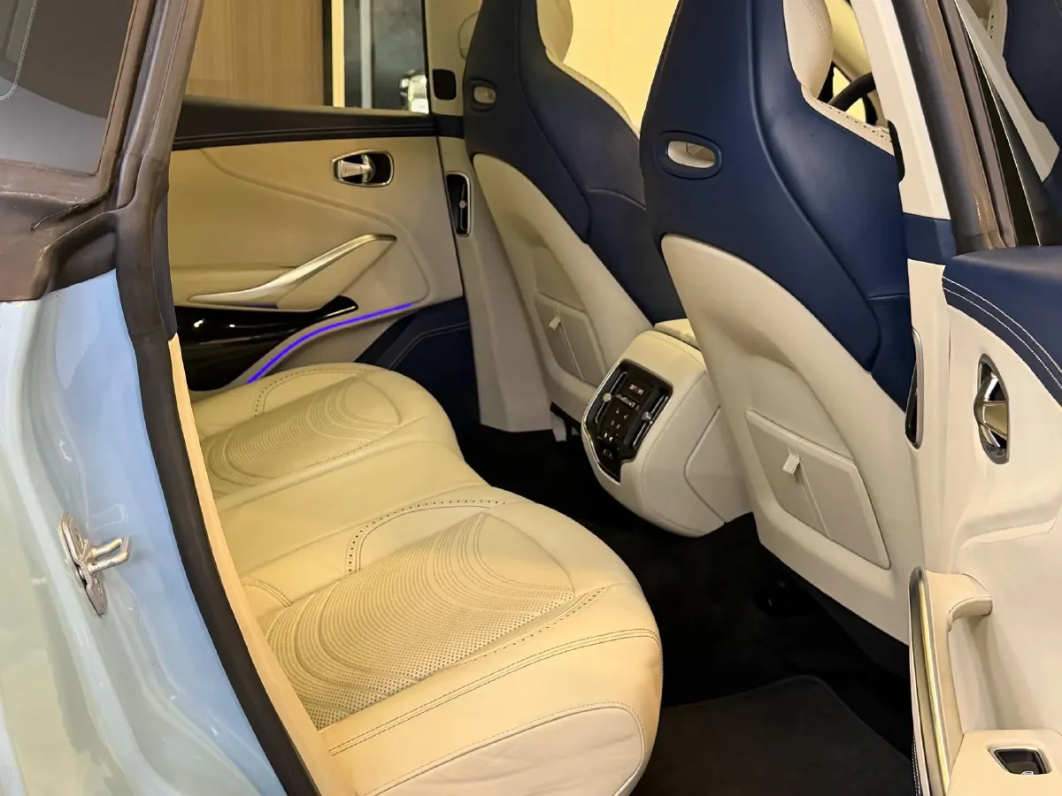 2022 Aston Martin DBX 3.0T 435HP L6 9AT,autocango,china used car exporter,china ev exporter,chinese used car exporter,chinese used ev exporter