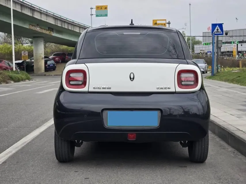 2021 Ora BlackCat BEV 30.3KWH,autocango,china used car exporter,china ev exporter,chinese used car exporter,chinese used ev exporter