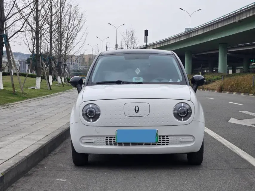 2021 Ora BlackCat BEV 30.3KWH,autocango,china used car exporter,china ev exporter,chinese used car exporter,chinese used ev exporter