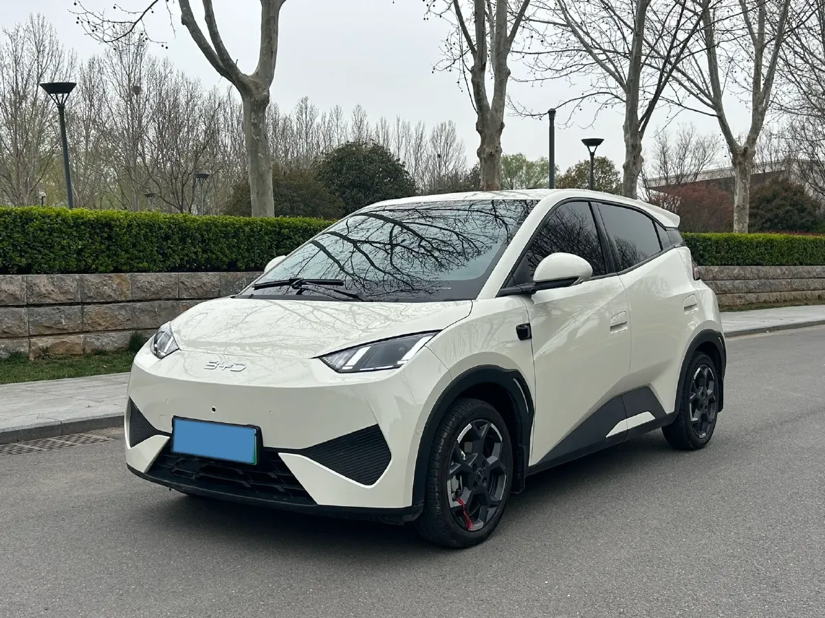 2025 BYD Seagull BEV 30.08KWH,autocango,china used car exporter,china ev exporter,chinese used car exporter,chinese used ev exporter