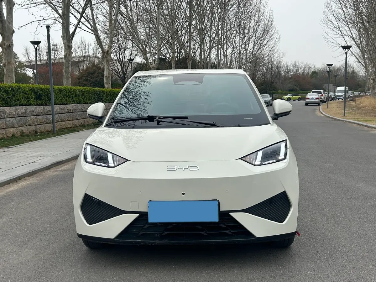2025 BYD Seagull BEV 30.08KWH,autocango,china used car exporter,china ev exporter,chinese used car exporter,chinese used ev exporter