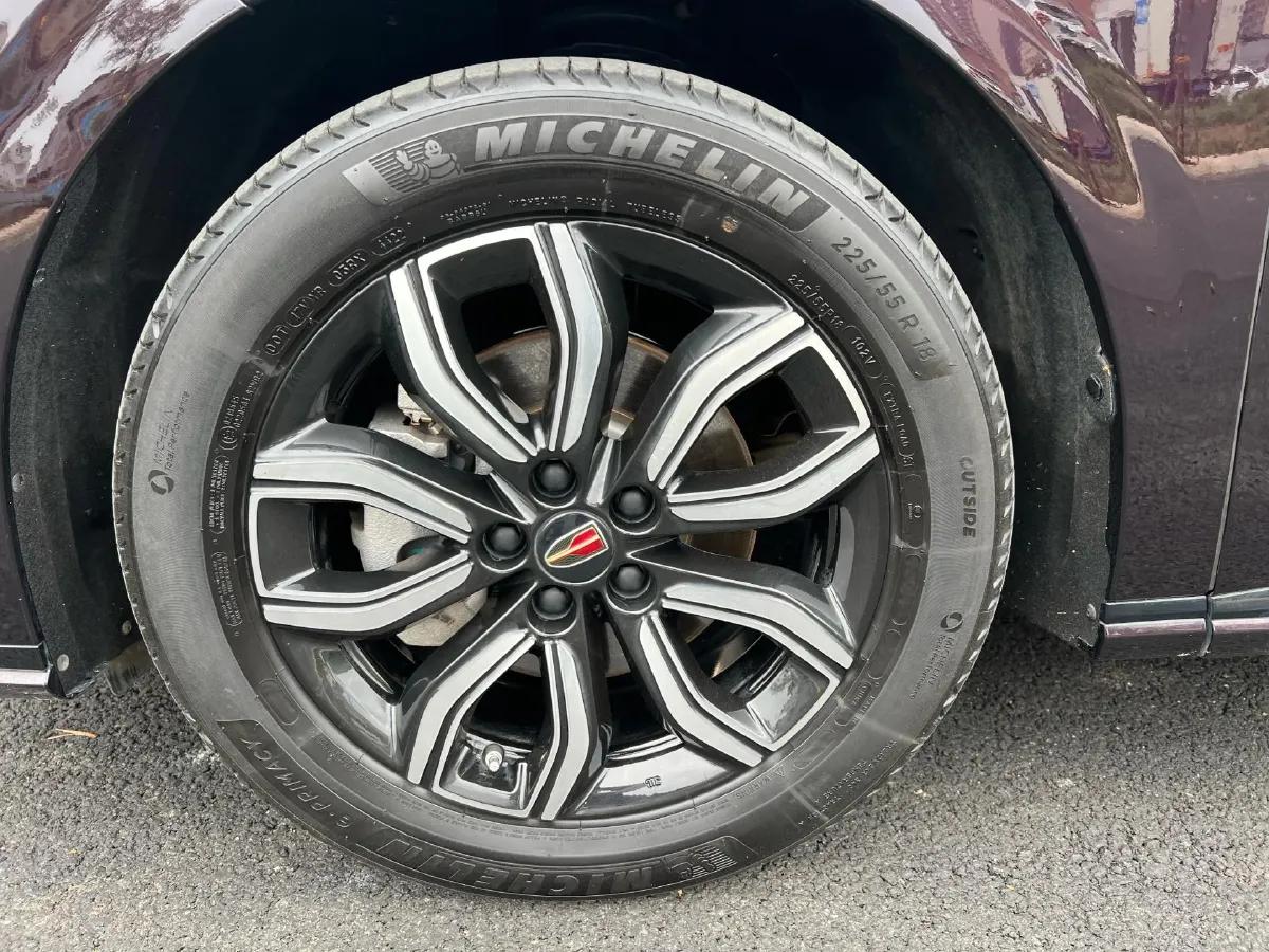 2023 HongQi HQ9 2.0T 252HP L4 8AT,autocango,china used car exporter,china ev exporter,chinese used car exporter,chinese used ev exporter