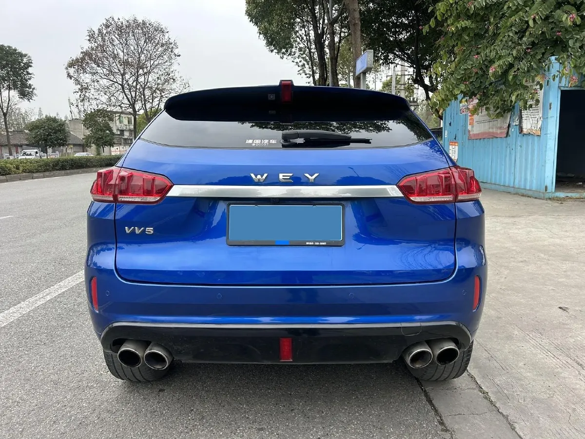 2019 WEY VV5 2.0T 224HP L4 7DCT,autocango,china used car exporter,china ev exporter,chinese used car exporter,chinese used ev exporter
