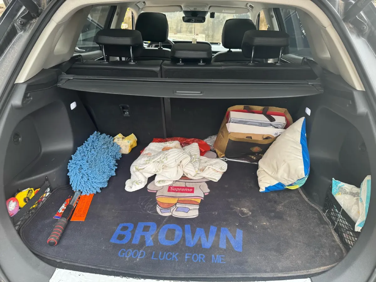 2019 HongQi HS5 2.0T 224HP L4 6AT,autocango,china used car exporter,china ev exporter,chinese used car exporter,chinese used ev exporter