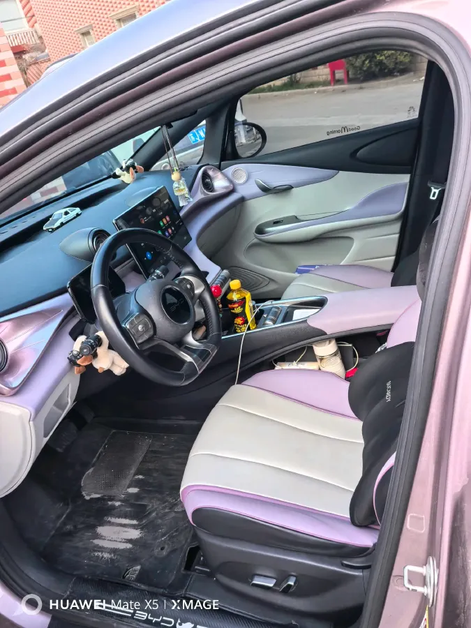 2023 BYD Dolphin BEV 44.928KWH,autocango,china used car exporter,china ev exporter,chinese used car exporter,chinese used ev exporter