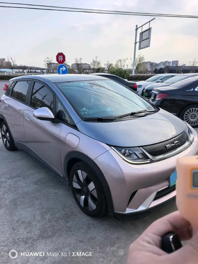 2023 BYD Dolphin BEV 44.928KWH,autocango,china used car exporter,china ev exporter,chinese used car exporter,chinese used ev exporter