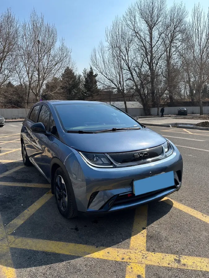 2025 BYD Dolphin BEV 44.928KWH,autocango,china used car exporter,china ev exporter,chinese used car exporter,chinese used ev exporter