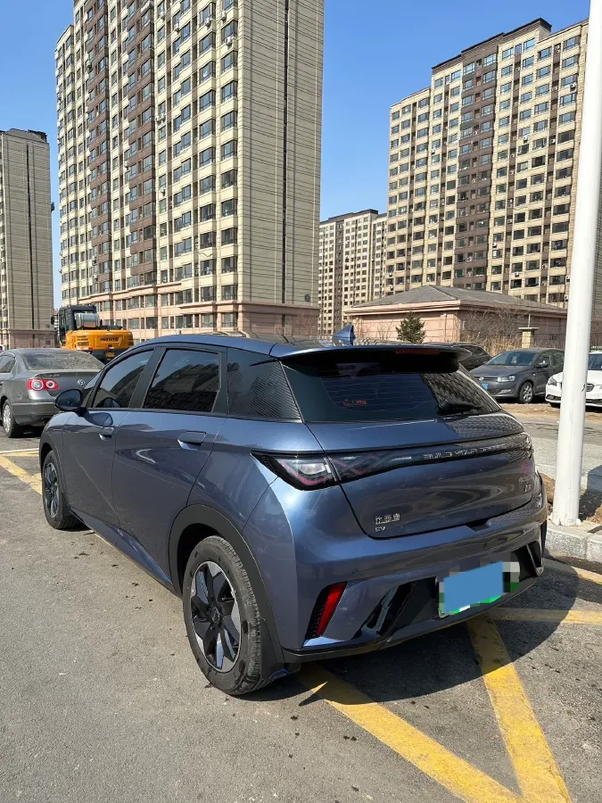 2025 BYD Dolphin BEV 44.928KWH,autocango,china used car exporter,china ev exporter,chinese used car exporter,chinese used ev exporter