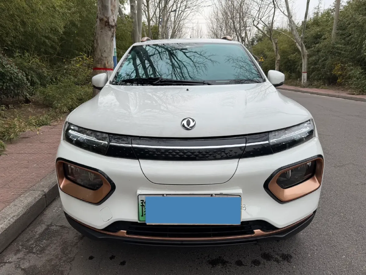 2022 DongFeng eπ BOX BEV 15.974KWH,autocango,china used car exporter,china ev exporter,chinese used car exporter,chinese used ev exporter