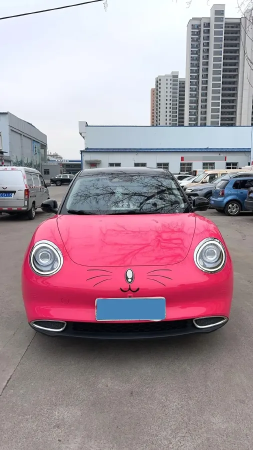 2021 Ora FunkyCat BEV 59.1KWH,autocango,china used car exporter,china ev exporter,chinese used car exporter,chinese used ev exporter