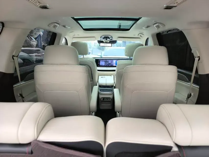 2023 WEY BlueMountain 1.5T 154HP L4 2DHT PHEV 44.5KWH,autocango,china used car exporter,china ev exporter,chinese used car exporter,chinese used ev exporter