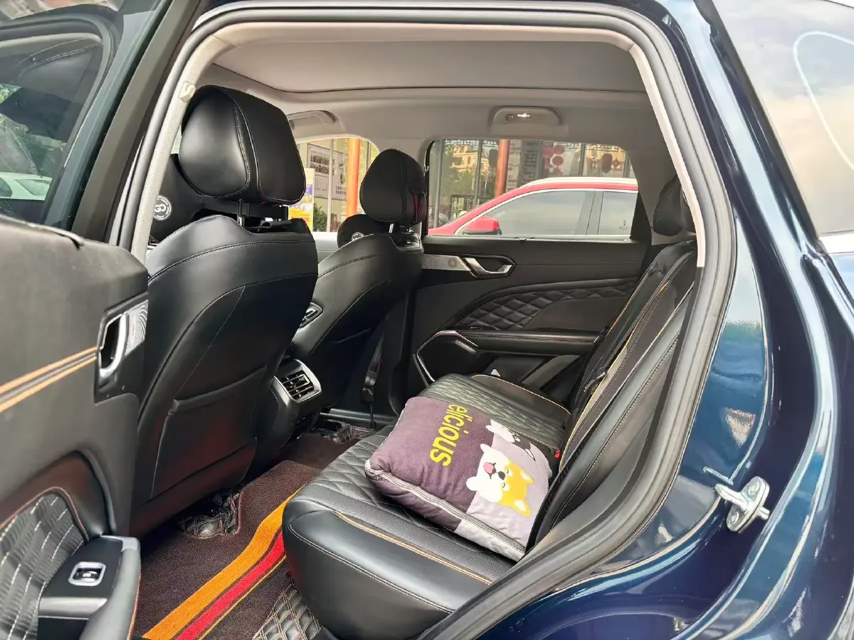 2022 WEY Latte 1.5T 156HP L4 2DHT PHEV 34KWH,autocango,china used car exporter,china ev exporter,chinese used car exporter,chinese used ev exporter