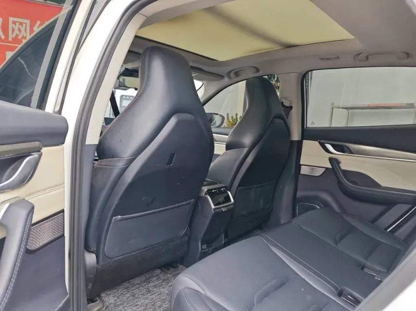 2022 Weltmeister EX5 BEV 52.704KWH,autocango,china used car exporter,china ev exporter,chinese used car exporter,chinese used ev exporter