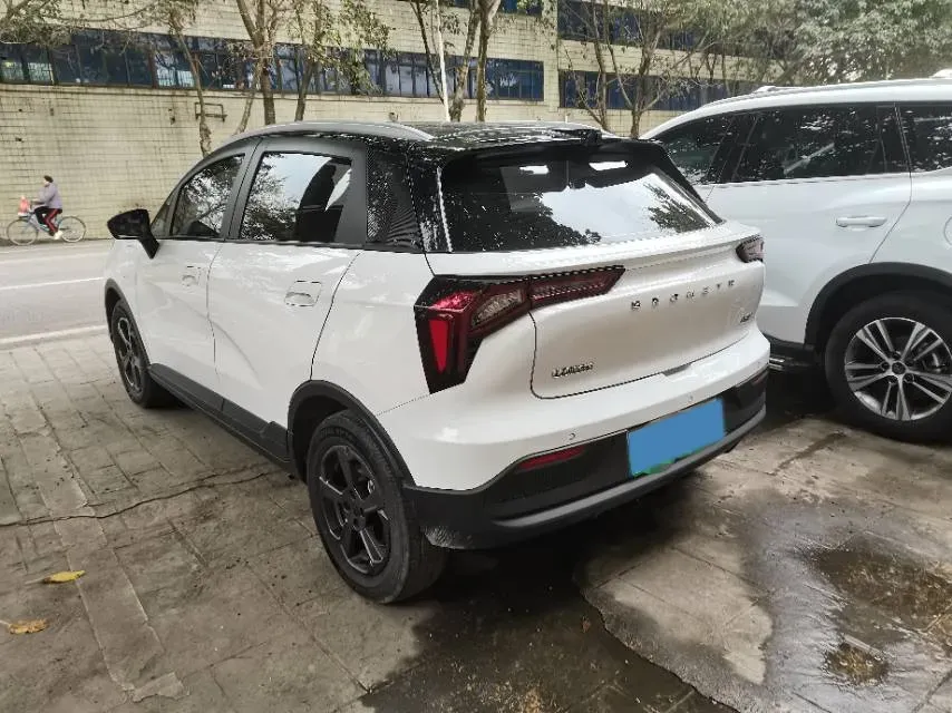 2022 Geometry E BEV 39.4KWH,autocango,china used car exporter,china ev exporter,chinese used car exporter,chinese used ev exporter