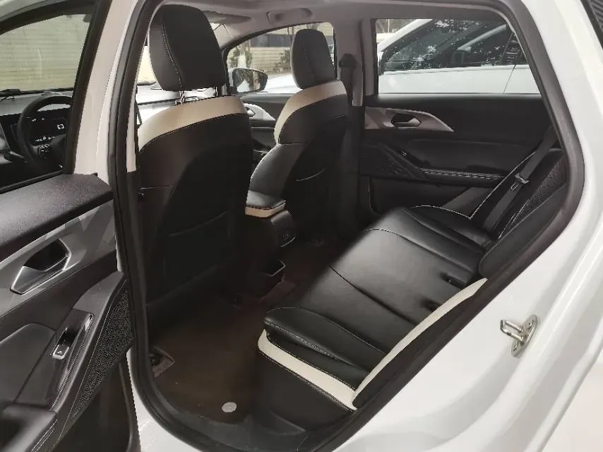 2022 Geometry E BEV 39.4KWH,autocango,china used car exporter,china ev exporter,chinese used car exporter,chinese used ev exporter