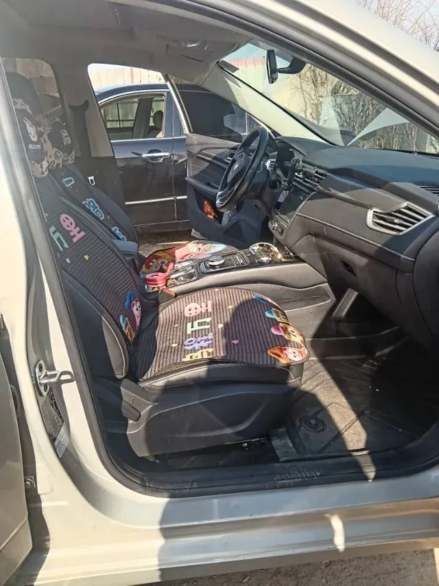 2019 Roewe Ei5 BEV 52.5KWH,autocango,china used car exporter,china ev exporter,chinese used car exporter,chinese used ev exporter