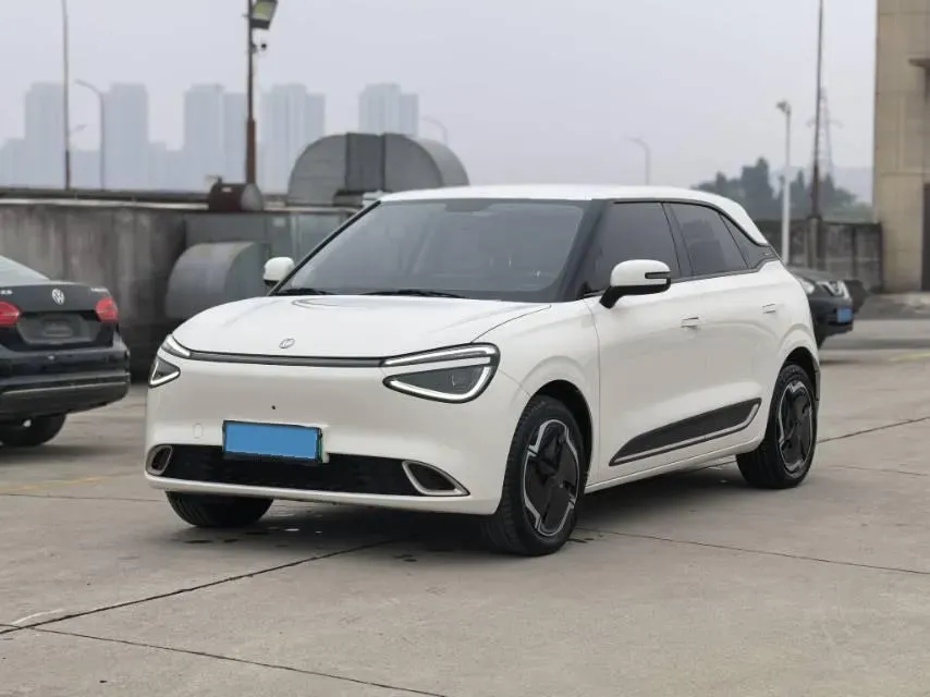 2024 DongFeng Nammi 01 BEV 42.3KWH,autocango,china used car exporter,china ev exporter,chinese used car exporter,chinese used ev exporter
