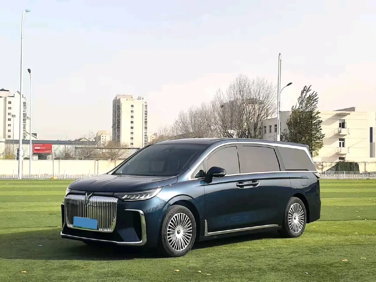 2025 Voyah Dream 1.5T 150HP L4 PHEV 41.7KWH,autocango,china used car exporter,china ev exporter,chinese used car exporter,chinese used ev exporter