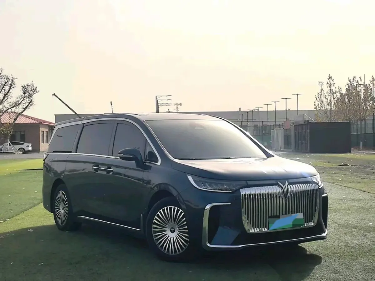 2025 Voyah Dream 1.5T 150HP L4 PHEV 41.7KWH,autocango,china used car exporter,china ev exporter,chinese used car exporter,chinese used ev exporter