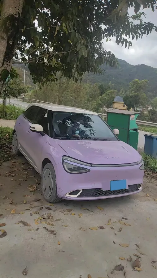 2024 DongFeng eπ 01 BEV 31.45KWH,autocango,china used car exporter,china ev exporter,chinese used car exporter,chinese used ev exporter