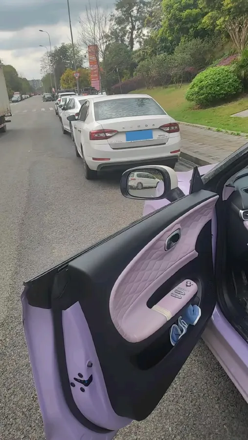 2024 DongFeng eπ 01 BEV 31.45KWH,autocango,china used car exporter,china ev exporter,chinese used car exporter,chinese used ev exporter