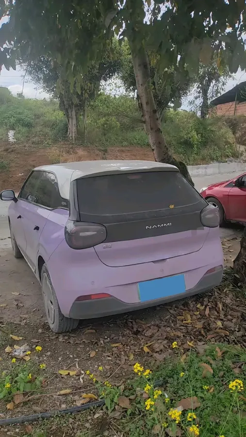 2024 DongFeng eπ 01 BEV 31.45KWH,autocango,china used car exporter,china ev exporter,chinese used car exporter,chinese used ev exporter