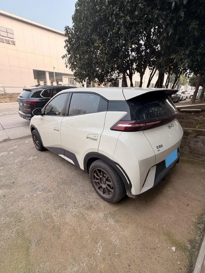 2025 BYD Seagull BEV 30.08KWH,autocango,china used car exporter,china ev exporter,chinese used car exporter,chinese used ev exporter