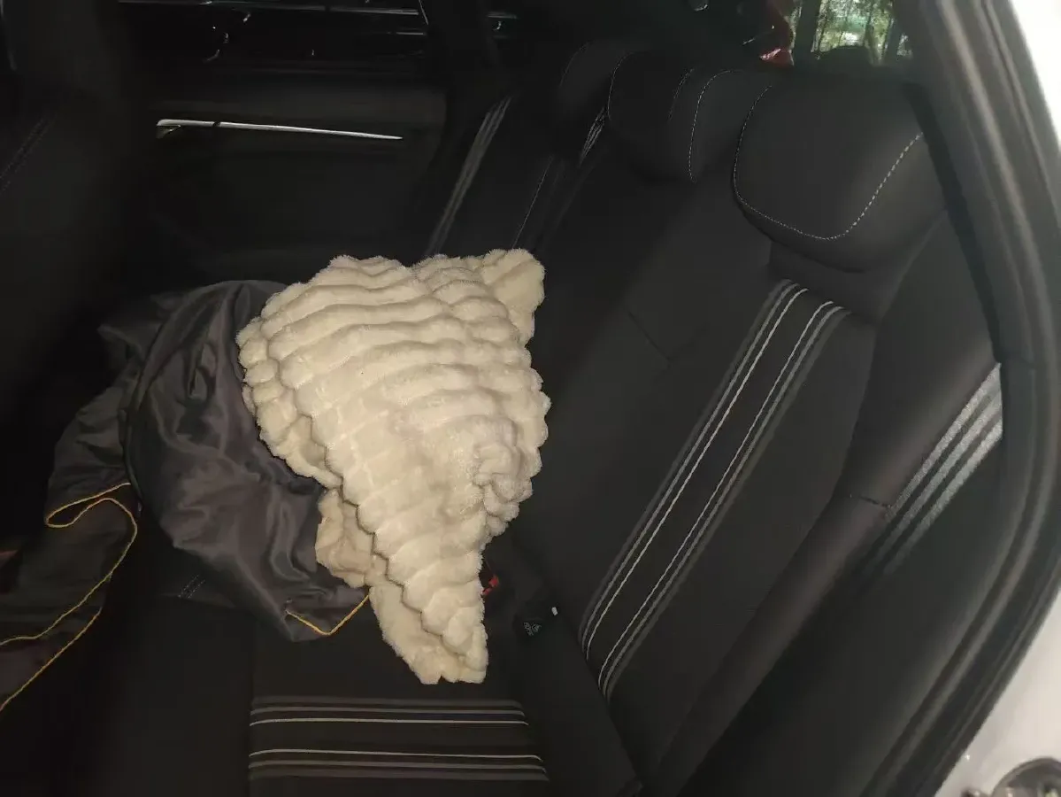 2023 Audi A3 1.4T 150HP L4 7DCT,autocango,china used car exporter,china ev exporter,chinese used car exporter,chinese used ev exporter