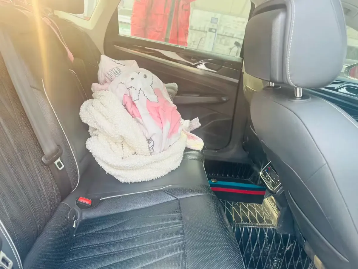 2022 Tesla Model 3 BEV 60KWH,autocango,china used car exporter,china ev exporter,chinese used car exporter,chinese used ev exporter