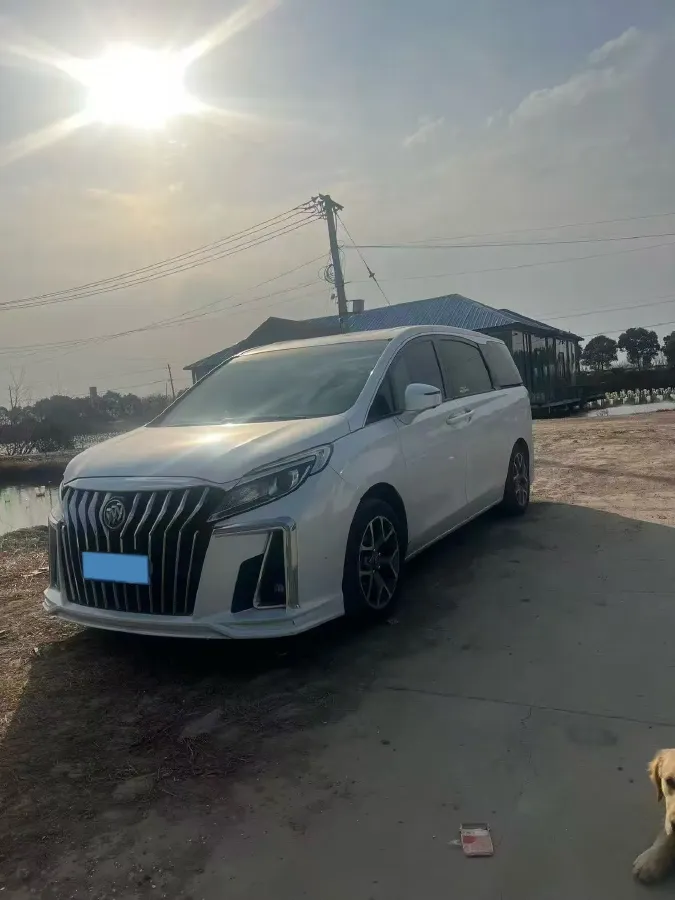2018 Buick GL8 2.0T 260HP L4 6AT,autocango,china used car exporter,china ev exporter,chinese used car exporter,chinese used ev exporter