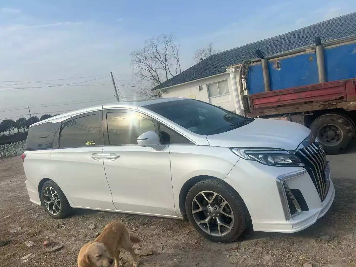 2018 Buick GL8 2.0T 260HP L4 6AT,autocango,china used car exporter,china ev exporter,chinese used car exporter,chinese used ev exporter