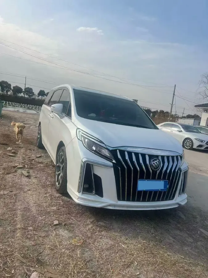 2018 Buick GL8 2.0T 260HP L4 6AT,autocango,china used car exporter,china ev exporter,chinese used car exporter,chinese used ev exporter